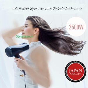 سشوار 2500 وات یونی پاناسونیک مدل EH-NE83 رنگ مشکی