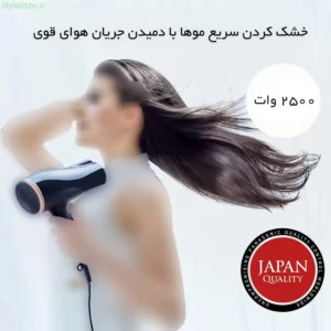 سشوار 2500 وات یونی پاناسونیک مدل EH-NE84 حرفه ای